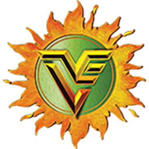 LVE logo
